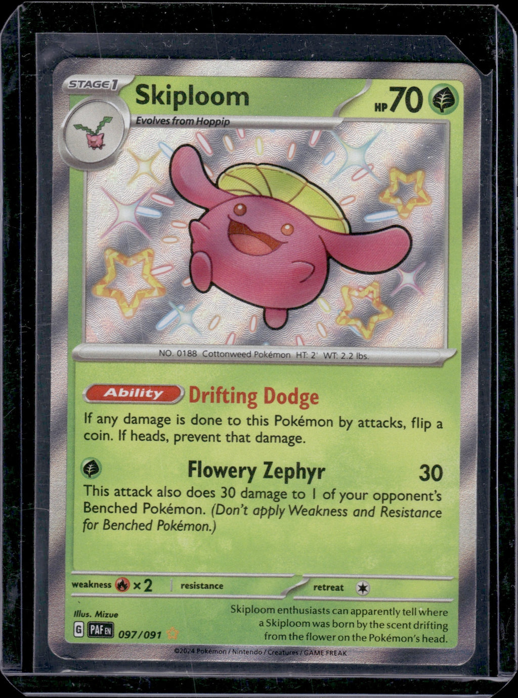 Skiploom