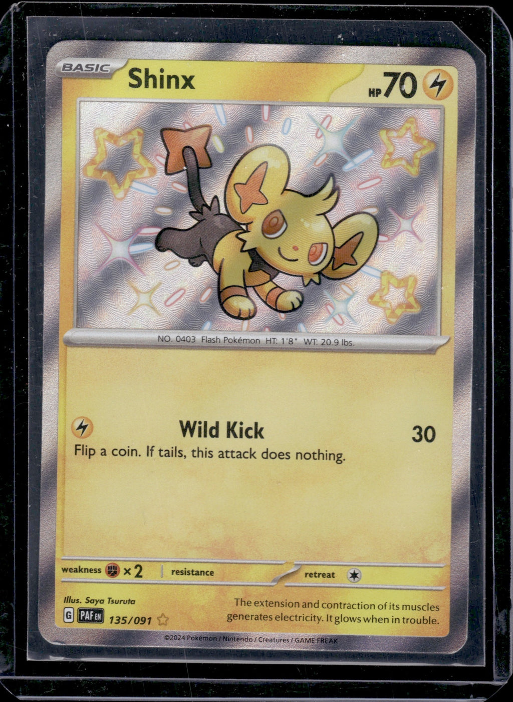 Shinx
