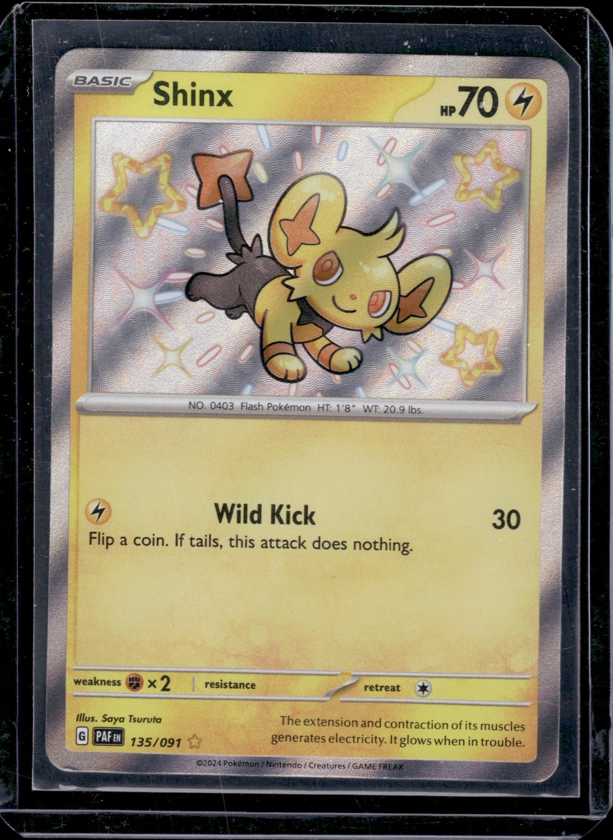 Shinx